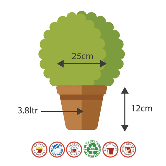 25cm Olympia Bowl Terracotta Plant Pot