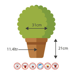 30cm Serenity Stout Planter Blue/White Plant Pot