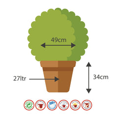 49cm Atlas Planter Black/Aqua Green Plant Pot