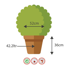 52cm Beijing Barrel Antique Gold Plant Pot