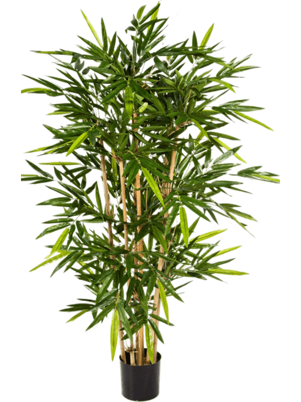 Bamboo Artificial Plant Premium Faux 180cm Height