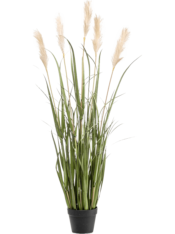 Grass Pampas Artificial Plant Premium Faux 130cm Height