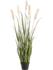 Grass Pampas Artificial Plant Premium Faux 130cm Height