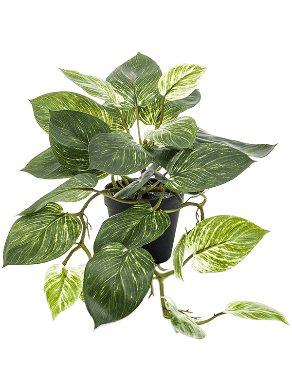 Scindapsus Artificial Plant Premium Faux 55cm Height
