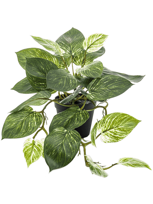Scindapsus Artificial Plant Premium Faux 55cm Height