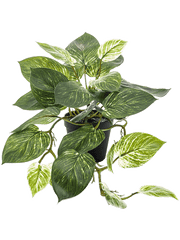 Scindapsus Artificial Plant Premium Faux 55cm Height