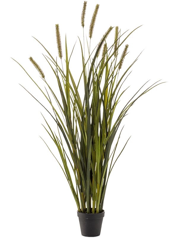 Grass Cattails Artificial Plant Premium Faux 100cm Height
