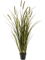 Grass Cattails Artificial Plant Premium Faux 100cm Height