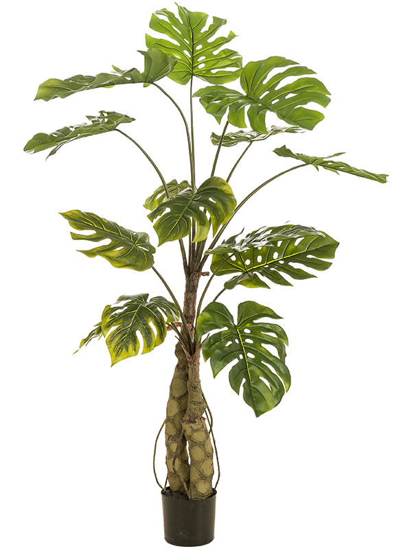Monstera On Trunk Artificial Plant Premium Faux 150cm Height