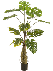Monstera On Trunk Artificial Plant Premium Faux 150cm Height