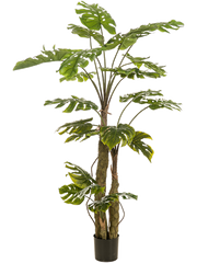 Monstera On Trunk Artificial Plant Premium Faux 180cm Height