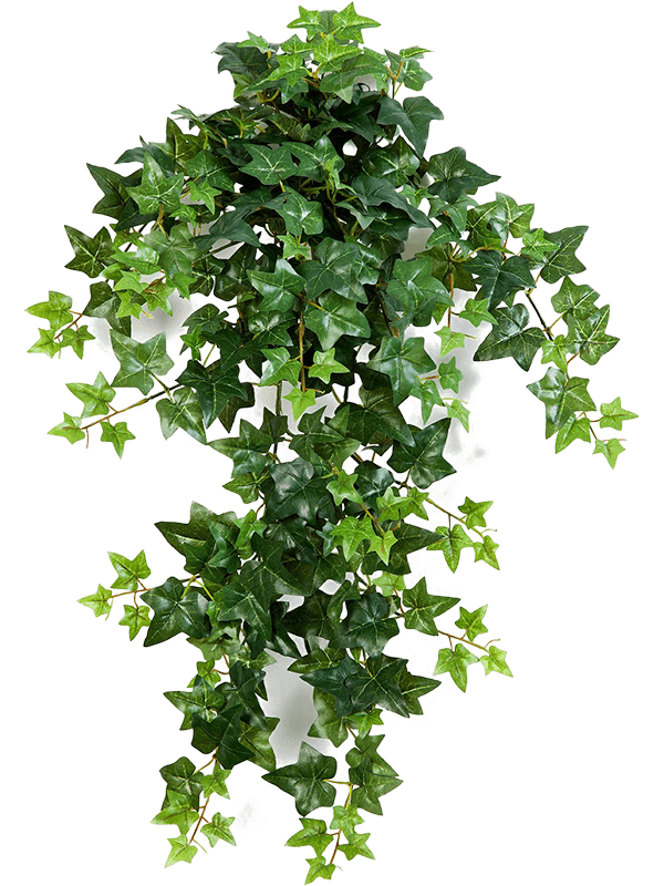 Ivy Artificial Plant Premium Faux 70cm Height