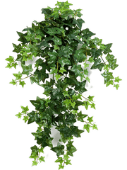 Ivy Artificial Plant Premium Faux 70cm Height
