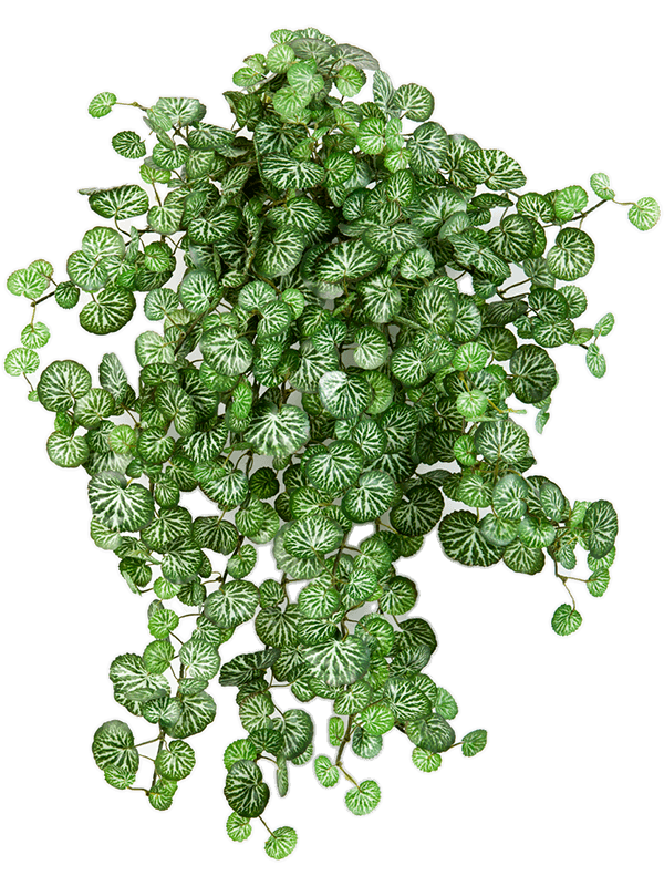 Saxifraga Artificial Plant Premium Faux 60cm Height
