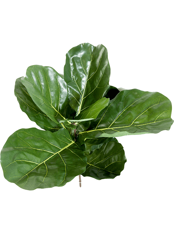 Ficus Lyrata Fiddle Artificial Plant Premium Faux 58cm Height