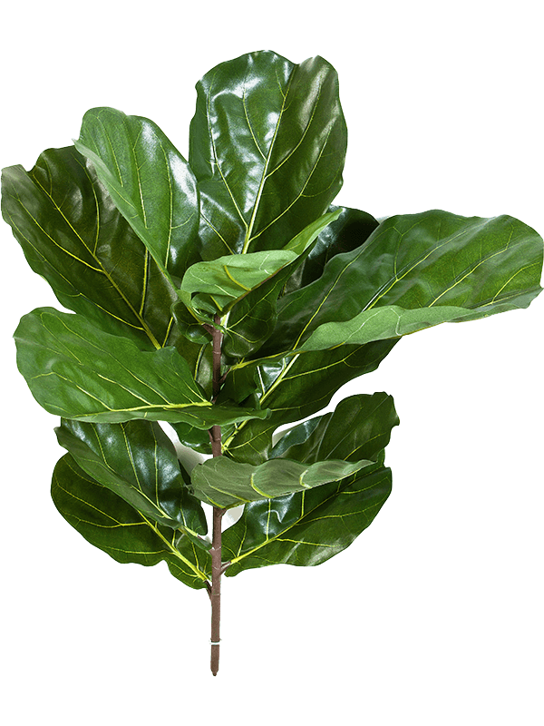 Ficus Lyrata Fiddle Artificial Plant Premium Faux 77cm Height