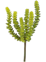 Crassula Perforata Artificial Plant Premium Faux 17cm Height