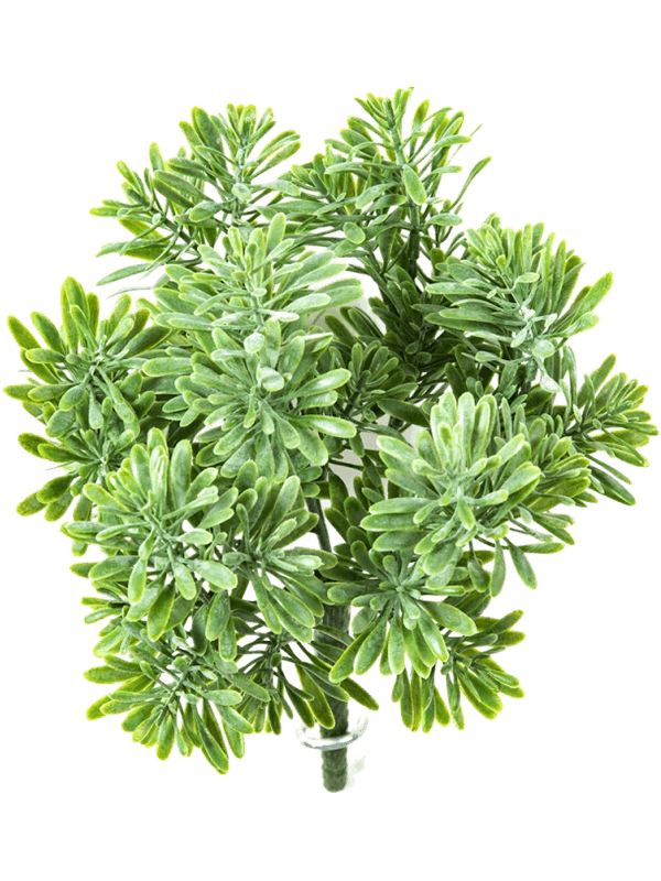 Dusty Miller Artificial Plant Premium Faux 18cm Height