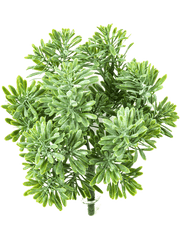 Dusty Miller Artificial Plant Premium Faux 18cm Height