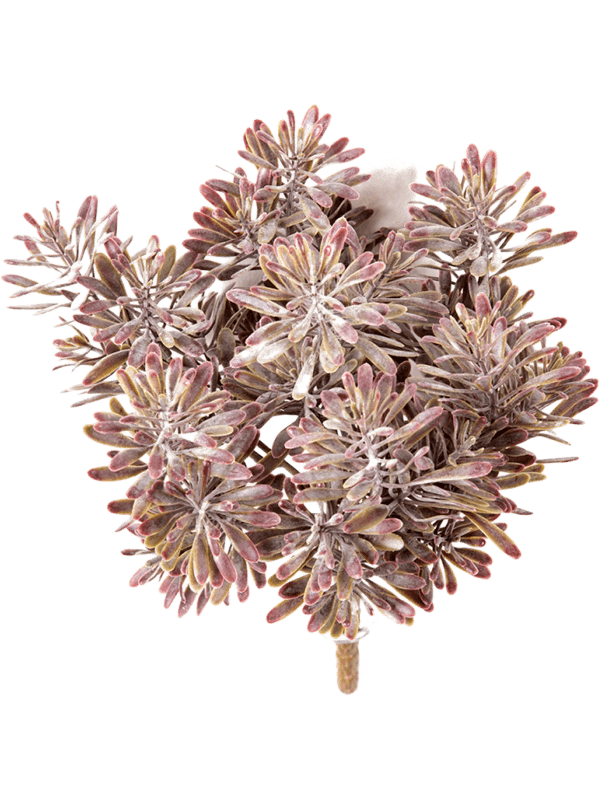 Dusty Miller Artificial Plant Premium Faux 18cm Height