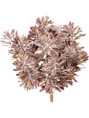 Dusty Miller Artificial Plant Premium Faux 18cm Height