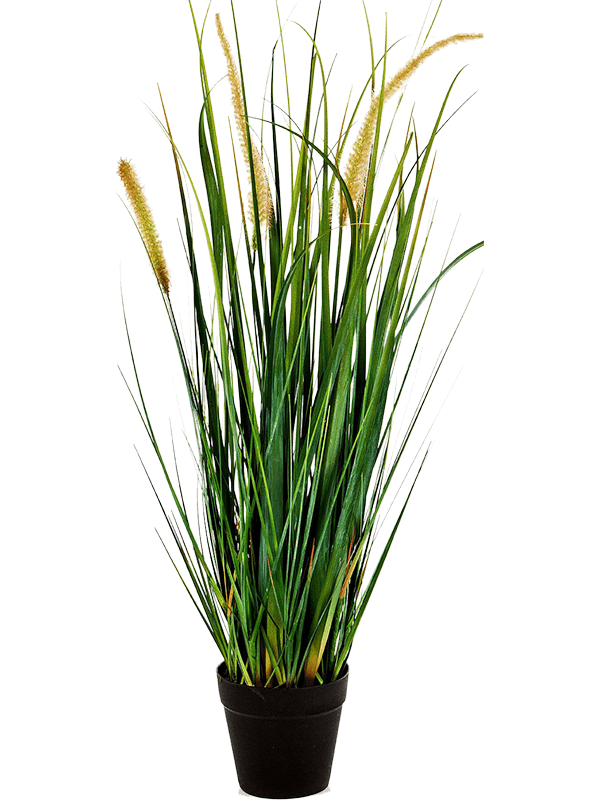 Grass Foxtail Artificial Plant Premium Faux 60cm Height