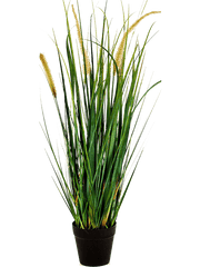 Grass Foxtail Artificial Plant Premium Faux 60cm Height
