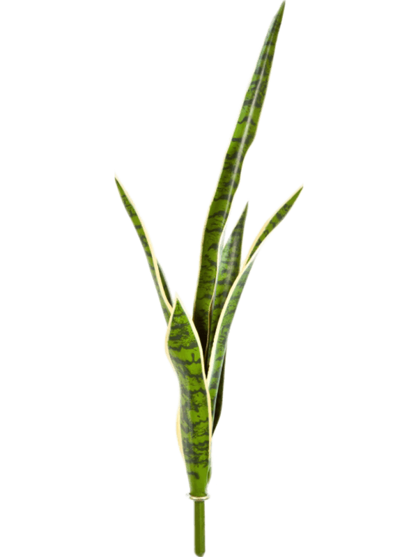 Sansevieria Artificial Plant Premium Faux 81cm Height