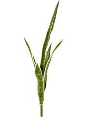 Sansevieria Artificial Plant Premium Faux 81cm Height