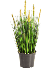 Grass Foxtail Artificial Plant Premium Faux 60cm Height