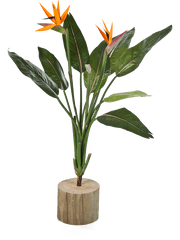 Strelitzia Artificial Plant Premium Faux 100cm Height