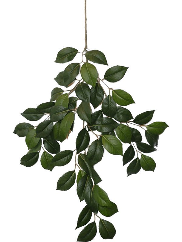 Camelia Artificial Plant Premium Faux 55cm Height