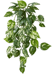 Photos Artificial Plant Premium Faux 70cm Height