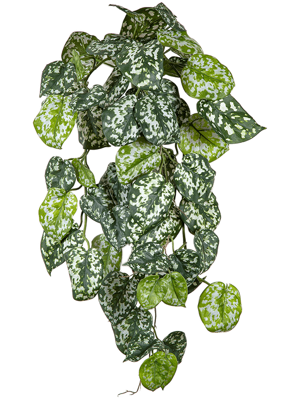 Scindapsus Artificial Plant Premium Faux 70cm Height