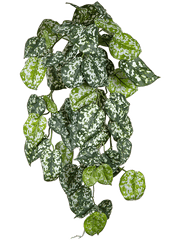 Scindapsus Artificial Plant Premium Faux 70cm Height