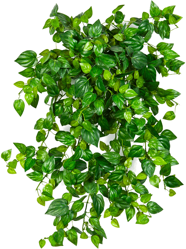 Philodendron Artificial Plant Premium Faux 50cm Height