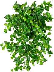 Philodendron Artificial Plant Premium Faux 50cm Height