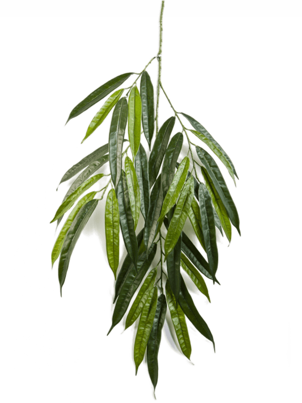 Ficus Longifolia Artificial Plant Premium Faux 68cm Height