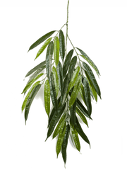 Ficus Longifolia Artificial Plant Premium Faux 68cm Height