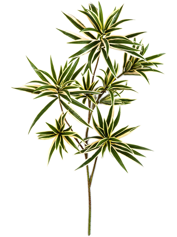 Dracaena Reflexa Var. Artificial Plant Premium Faux 70cm Height