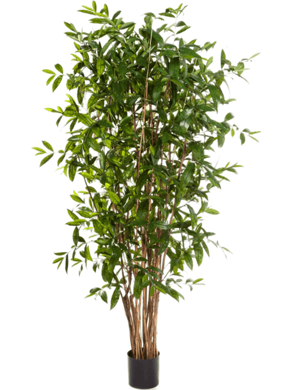 Dracaena Surculosa Artificial Plant Premium Faux 150cm Height