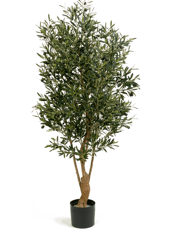 Olive Artificial Plant Premium Faux 150cm Height