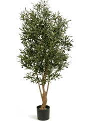 Olive Artificial Plant Premium Faux 150cm Height