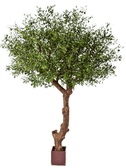 Olive Artificial Plant Premium Faux 270cm Height