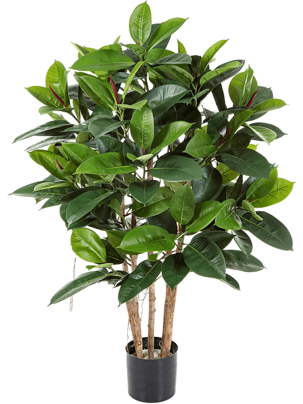 Ficus Elastica Artificial Plant Premium Faux 120cm Height