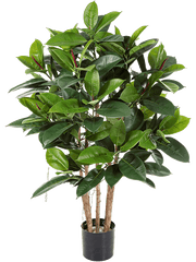 Ficus Elastica Artificial Plant Premium Faux 120cm Height