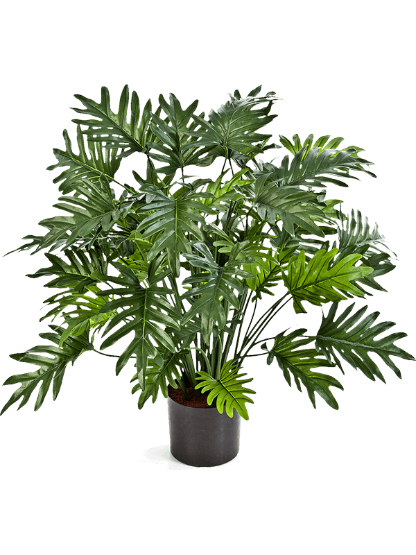 Philodendron Artificial Plant Premium Faux 75cm Height