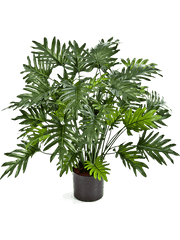 Philodendron Artificial Plant Premium Faux 75cm Height