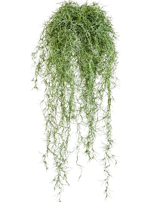 Long hair Artificial Plant Premium Faux 80cm Height