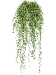 Long hair Artificial Plant Premium Faux 80cm Height